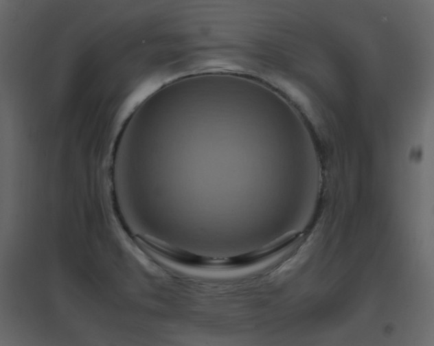X0000096701373200802051400