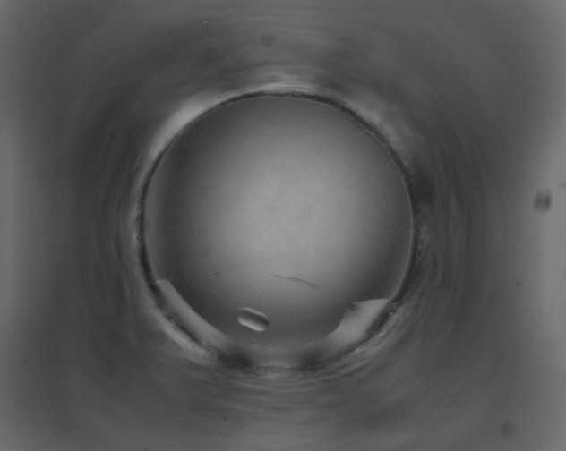 X0000096701375200802051400