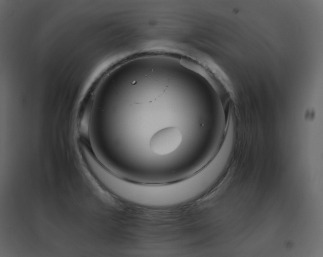 X0000096701376200802051400