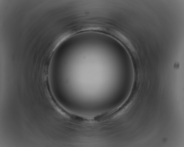 X0000096701377200802051400