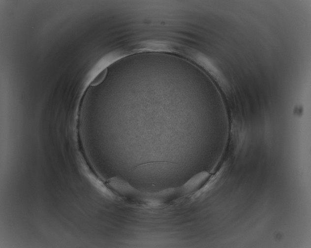 X0000096701378200802051400