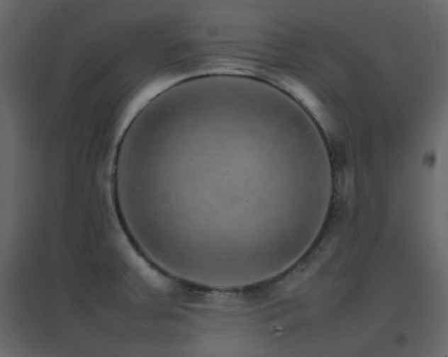 X0000096701379200802051400