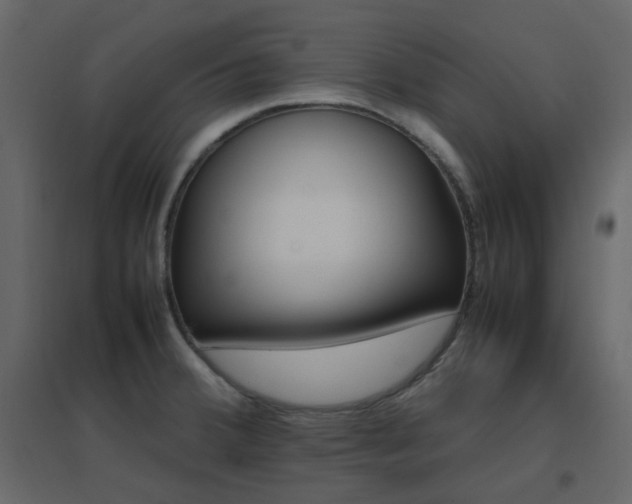 X0000096701380200802051400