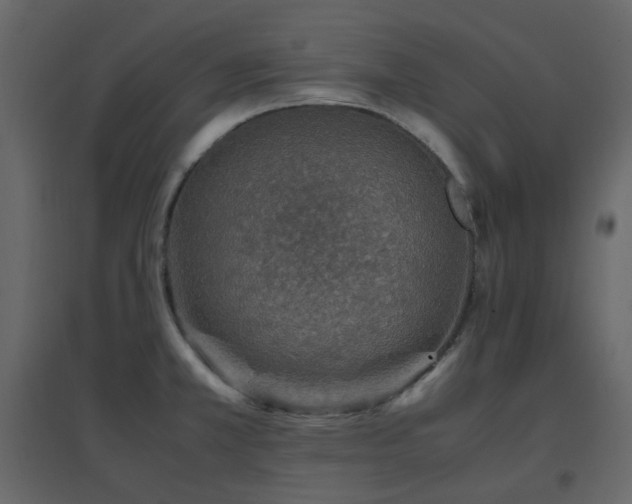 X0000096701381200802051400