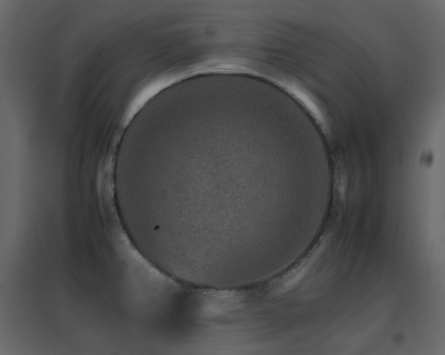 X0000096701382200802051400