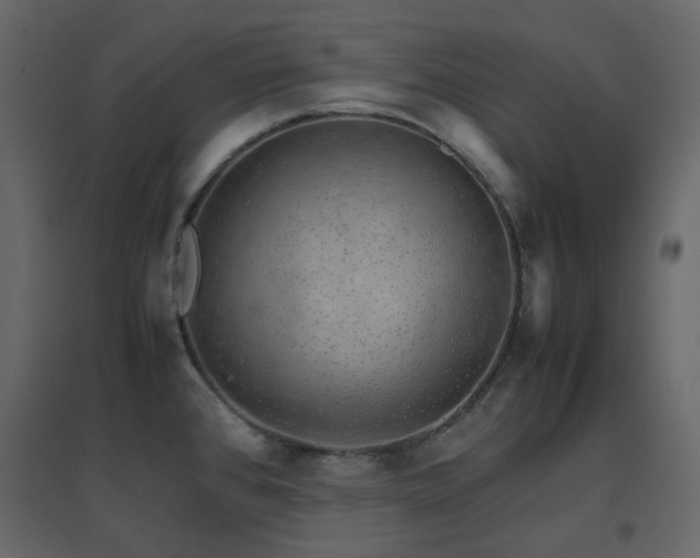 X0000096701384200802051400