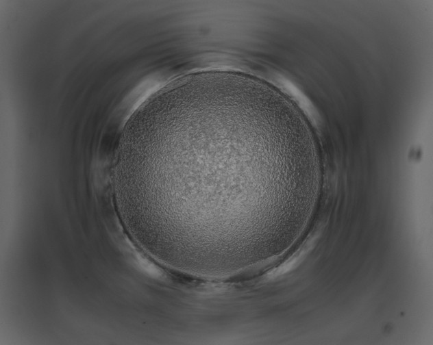 X0000096701385200802051400
