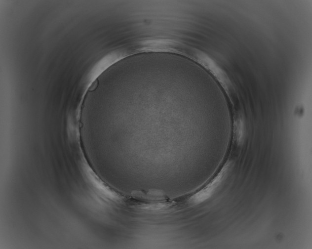 X0000096701386200802051400