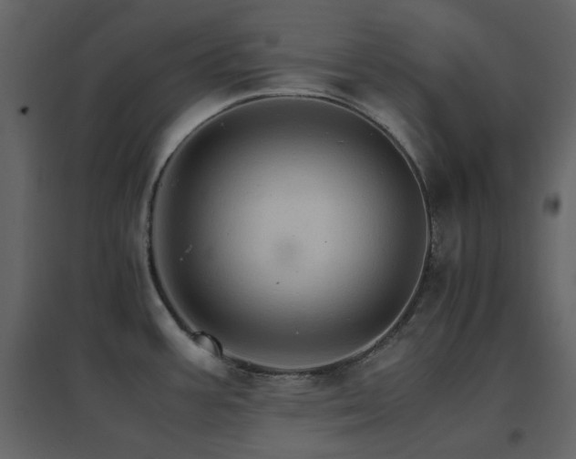 X0000096701387200802051400