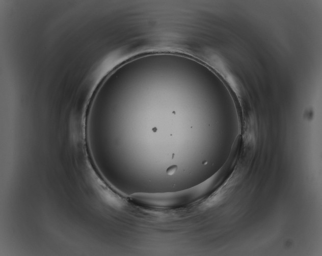 X0000096701388200802051400