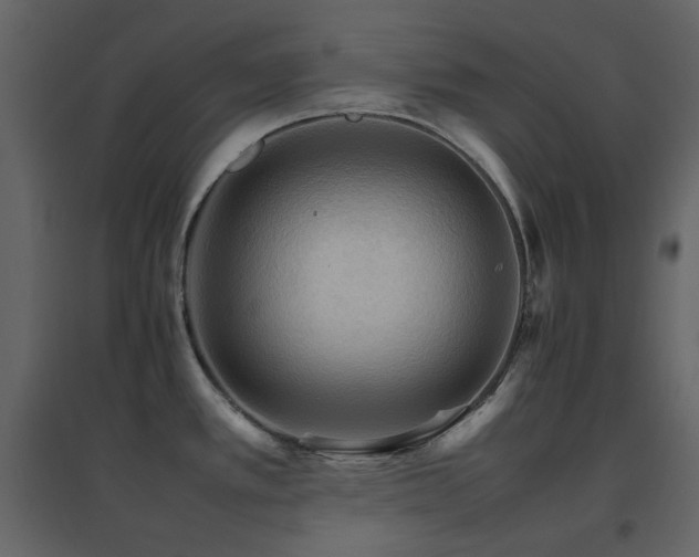 X0000096701389200802051400