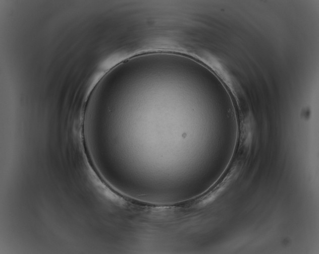X0000096701390200802051400