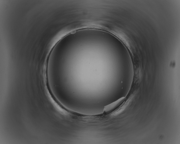 X0000096701391200802051400