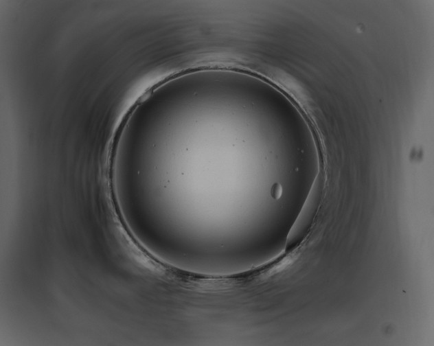 X0000096701392200802051400