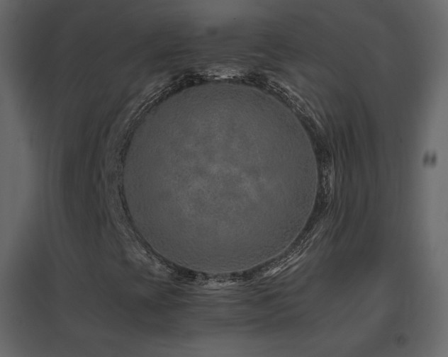 X0000096701393200802051400