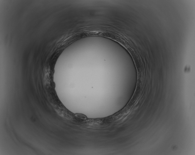 X0000096701394200802051400