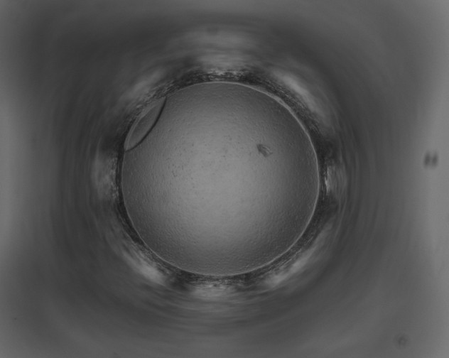 X0000096701396200802051400
