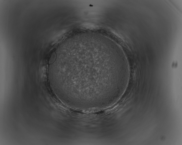 X0000096701397200802051400