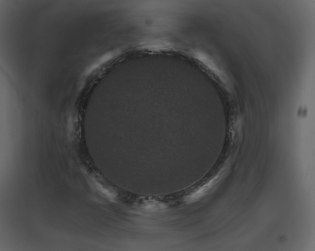 X0000096701398200802051400