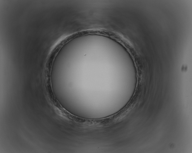 X0000096701400200802051400