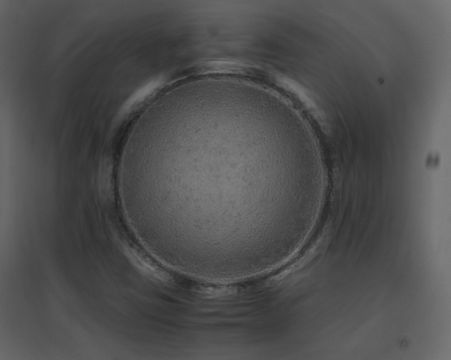 X0000096701403200802051400