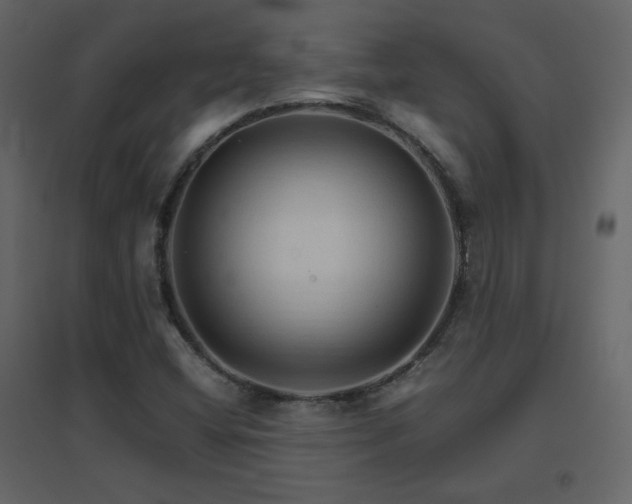 X0000096701404200802051400