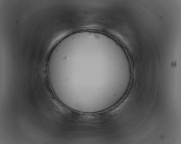 X0000096701405200802051400