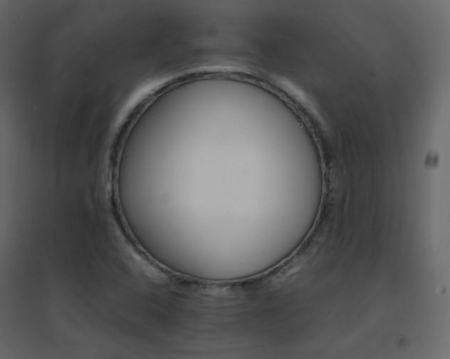 X0000096701408200802051400