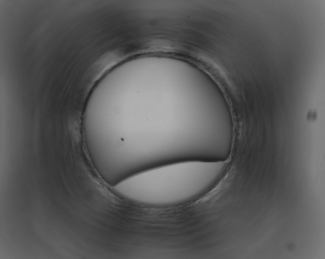 X0000096701409200802051400