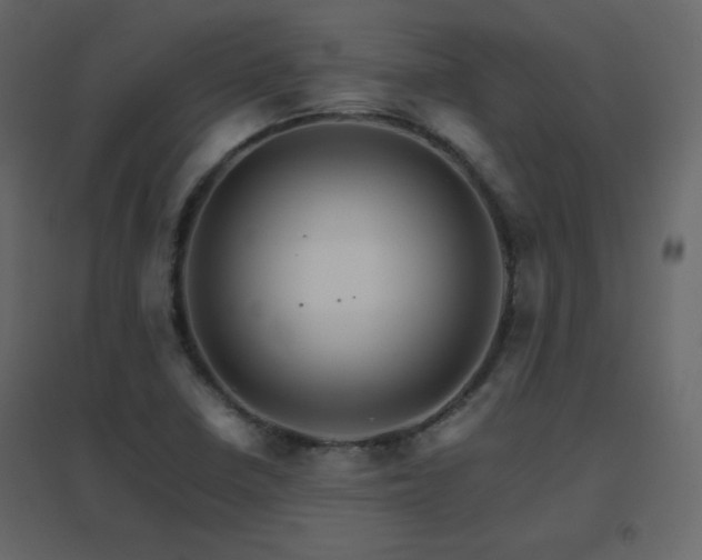 X0000096701410200802051400