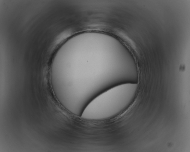 X0000096701411200802051400