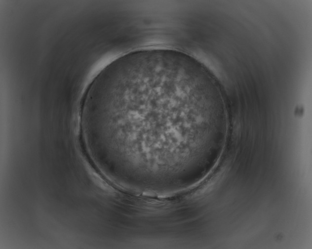 X0000096701413200802051400