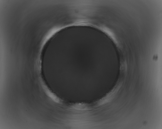 X0000096701414200802051400