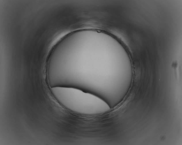 X0000096701415200802051400