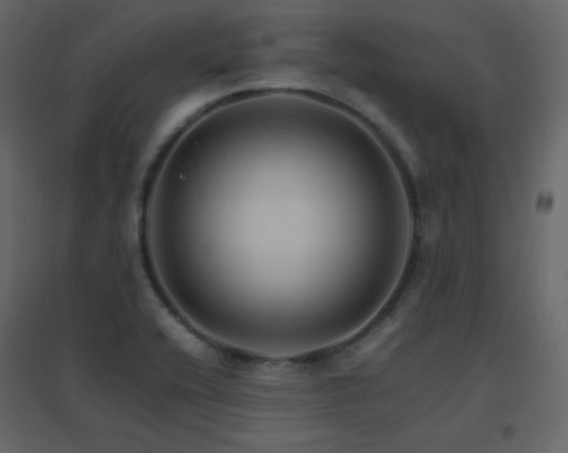X0000096701416200802051400