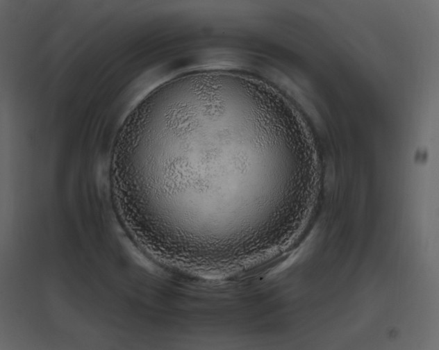 X0000096701417200802051400