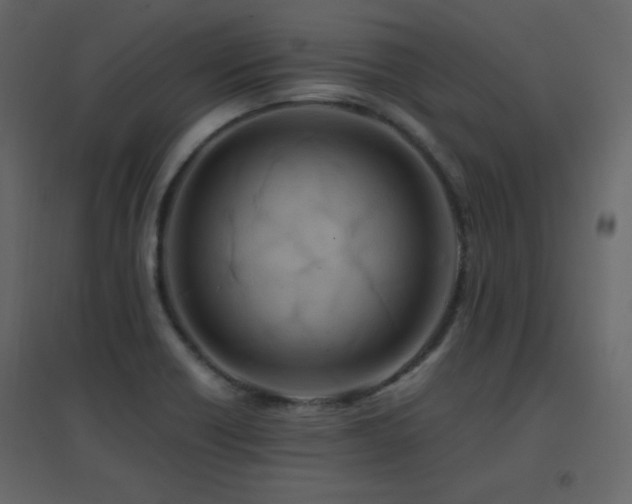 X0000096701418200802051400
