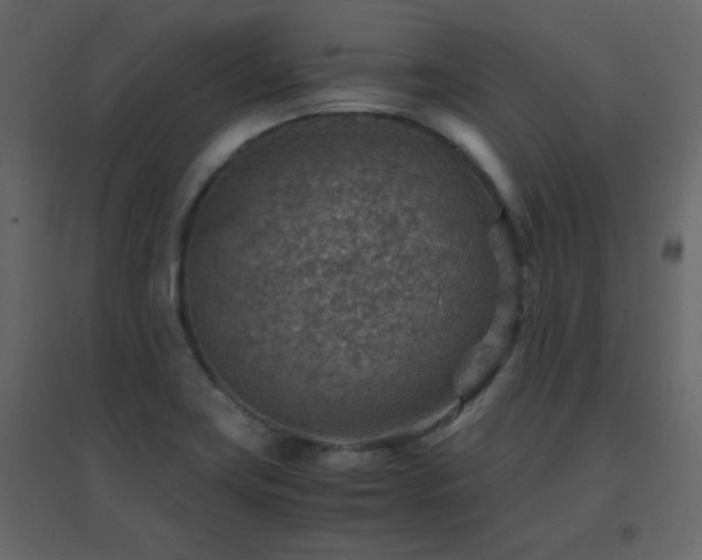X0000096701419200802051400