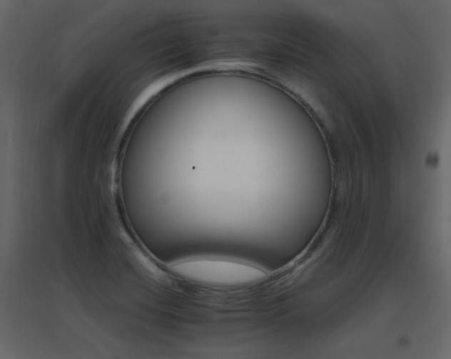 X0000096701420200802051400