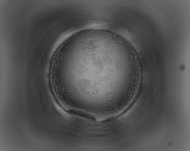 X0000096701421200802051400