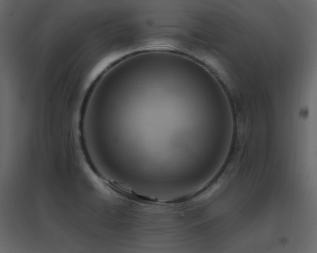 X0000096701422200802051400