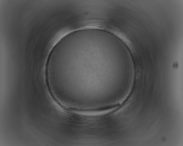 X0000096701423200802051400