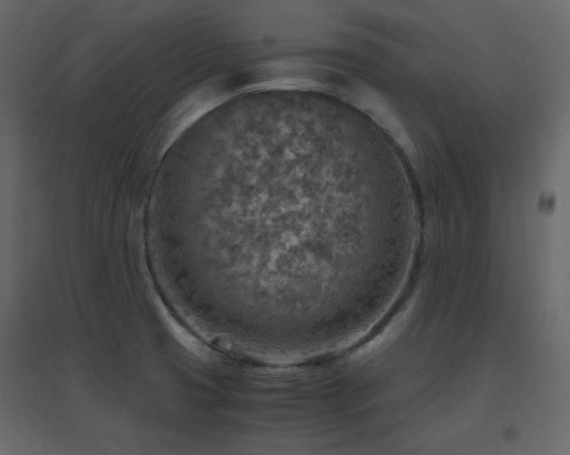 X0000096701425200802051400