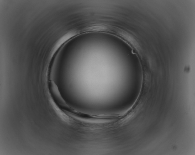 X0000096701426200802051400