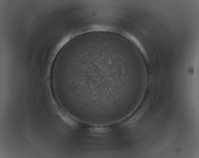X0000096701427200802051400