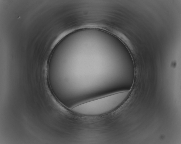 X0000096701428200802051400
