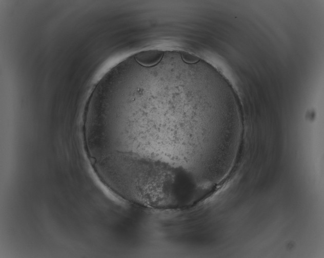 X0000096701429200802051400