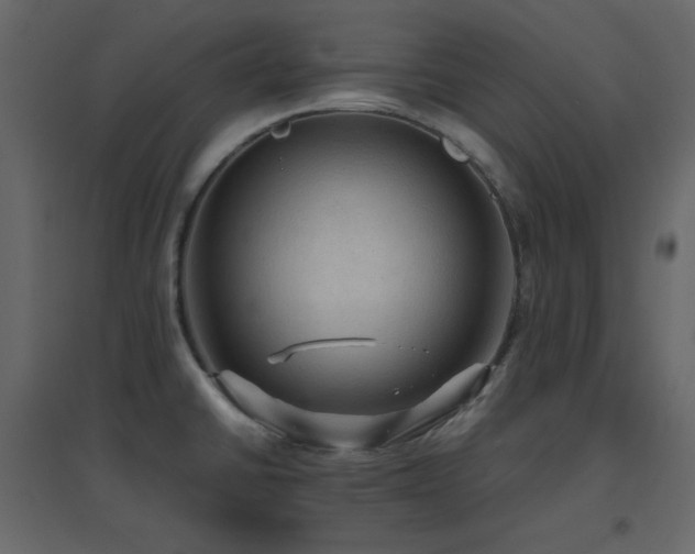 X0000096701430200802051400