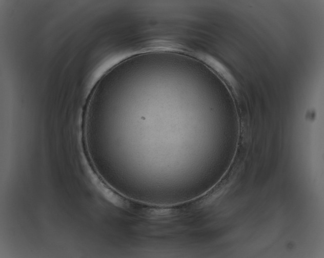 X0000096701431200802051400