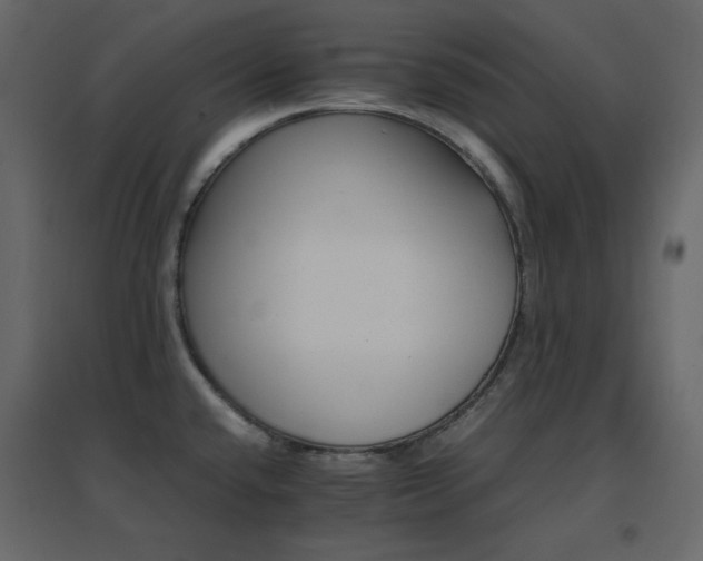 X0000096701432200802051400